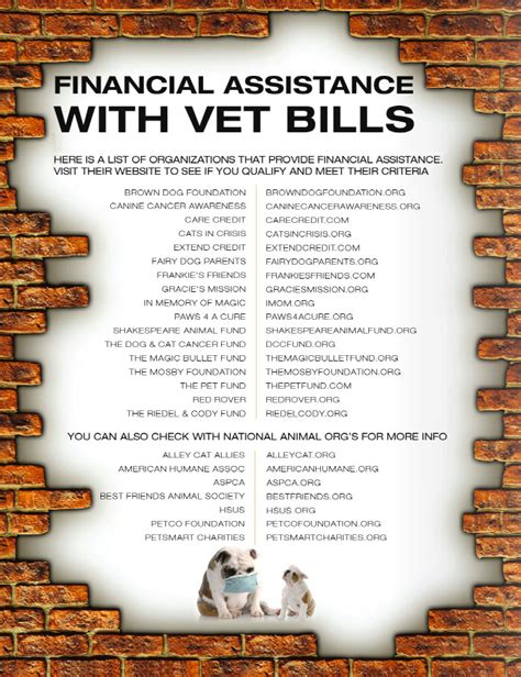 emergency credit for vet bills.